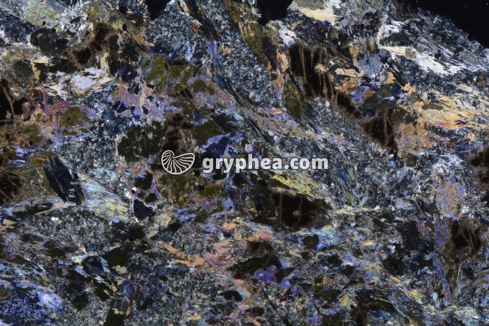 Métagabbro à Glaucophanite LPA x3,5 - gryphea.com